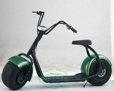 EL-Sport Citycoco 1500W (60V/20Ah) зелёный EL-Sport Citycoco 1500W (60V/20Ah) зелёный