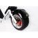 EL-Sport New Design Citycoco 1000W белый