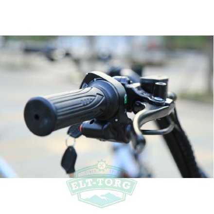 EL-Sport New Design Citycoco 1000W