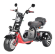 Трехколесный электроскутер Citycoco WS-PRO+ TRIKE 3000W