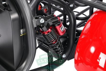 Трехколесный электроскутер Citycoco WS-PRO+ TRIKE 3000W