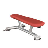 AeroFit Professional Impulse IT7009