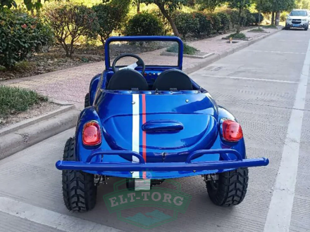 Электромобиль GreenCamel Жук (60V 1500W R8 Дифференциал)