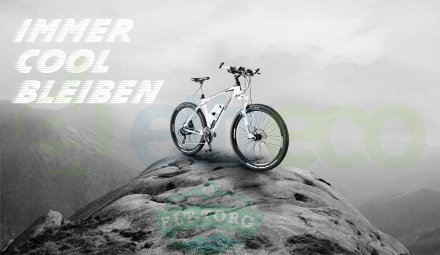 Электровелосипед Leisger ADV MD5-650-A+MB