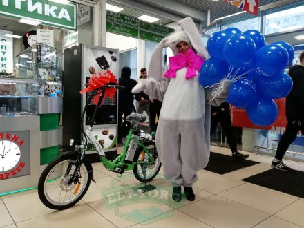 Электровелосипед Elbike Galant Vip 500w 13ah Green Электровелосипед Elbike Galant Vip 500w 13ah Green