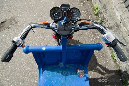 Электротрицикл TaiLG TL800DQZ-40Z Синий original