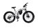 Электровелосипед ELECTRON BIKES MS1 SUPER