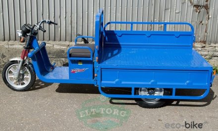 Электротрицикл TaiLG Trike-14 Синий original