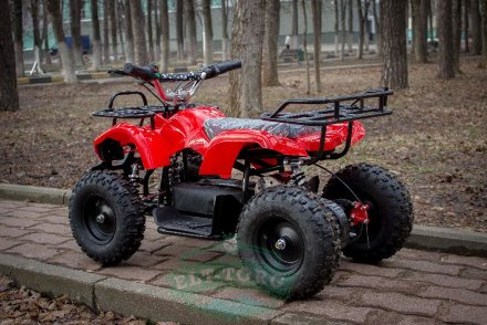 Электроквадроцикл MYTOY 800Z 800 W Красный