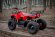 Электроквадроцикл MYTOY 800Z 800 W Красный