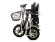 Трехколесный электроскутер Wellness Adjutant Maxi 600W 48V 20Ah