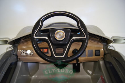 Электромобиль RiverToys BMW O002OO-VIP-RED