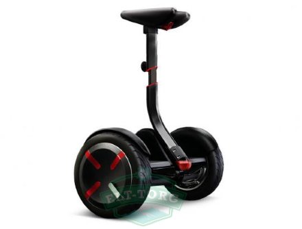Мини сeгвей Ninebot Mini Pro 800W (черный)