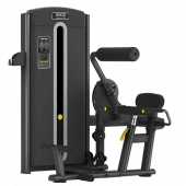 BRONZE GYM M05-009 Разгибание спины
