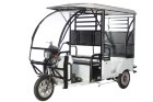 Пассажирский электротрицикл OxyVolt Trike Passenger