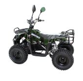 Электроквадроцикл VOLTRIX LEOPARD MINI 800