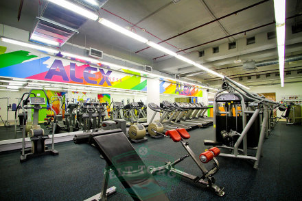 AeroFit Professional Impulse IT7007 Разгибание спины, гиперэкстензия, многопозиционная