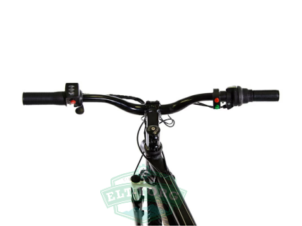 Электровелосипед E-motions Golden Motor 1000W Электровелосипед E-motions Golden Motor 1000W