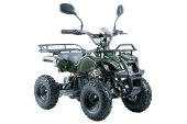 Электроквадроцикл VOLTRIX MUSTANG MINI 800(Барс Мини)