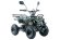 Электроквадроцикл VOLTRIX MUSTANG MINI 800(Барс Мини)