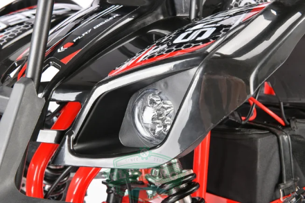 Электроквадроцикл WS-SNEG 1500W