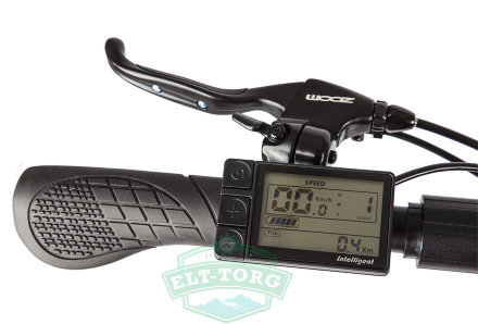 Электросамокат Eltreco Iconic Wood GL 500w