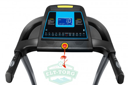 VictoryFit 2004