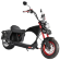 Электроскутер Citycoco WS Wild Wheel 3950W