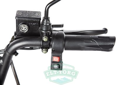 Пассажирский электротрицикл Rutrike Экипаж 60V650W