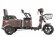 Трицикл Rutrike Вагон Трицикл Rutrike Вагон