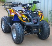 Электроквадроцикл Барс 1000XL Саламандр