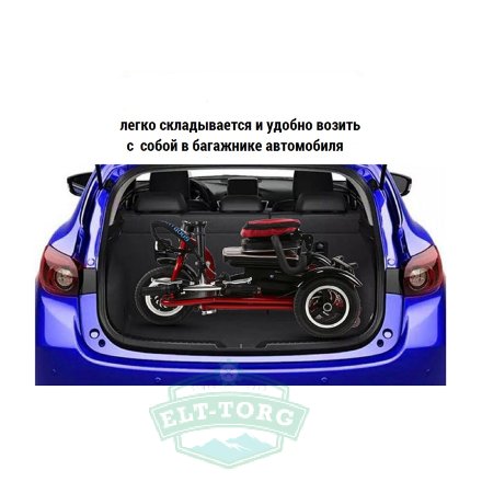 трицикл Адьютант A1 трицикл Адьютант A1