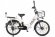 Электровелосипед GREEN CITY e-ALFA new
