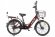 Электровелосипед GREEN CITY e-ALFA new