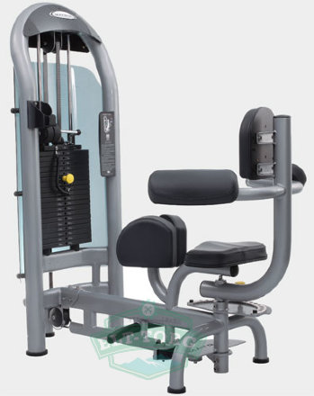 MATRIX G3 S55 Торс-машина (СЕРЕБРИСТЫЙ) MATRIX G3 S55 Торс-машина (СЕРЕБРИСТЫЙ)